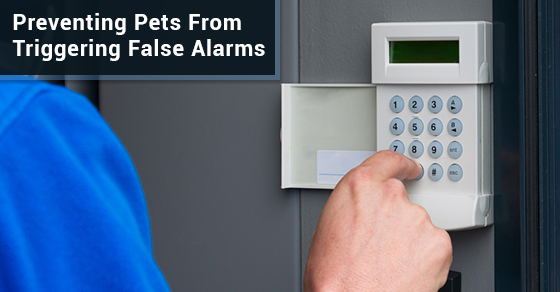 Preventing Pets From Triggering False Alarms